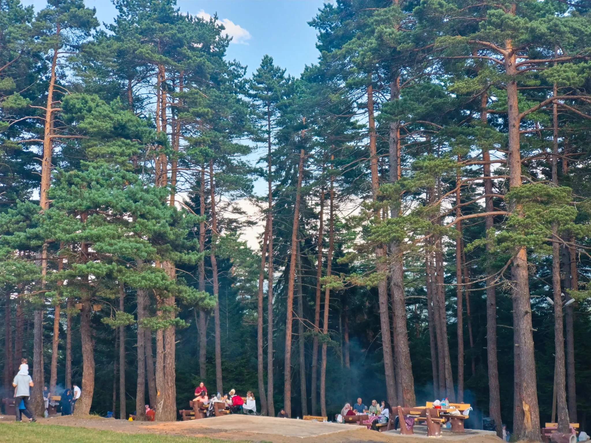 Kafkasör fotoğrafı 3