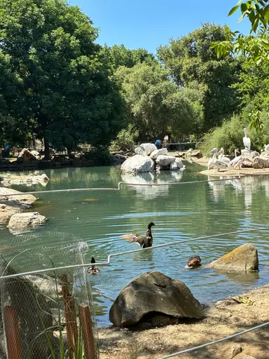 Bursa Hayvanat bahçesi Bursa ZOO