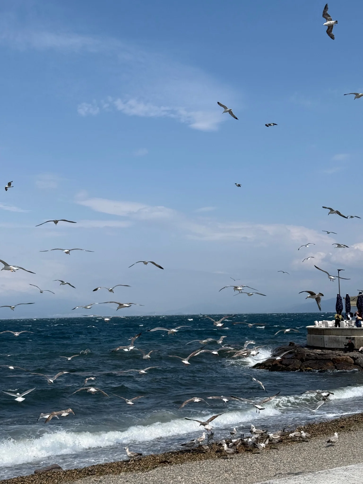 Mudanya Sahili ve Kordon Boyu fotoğrafı 2