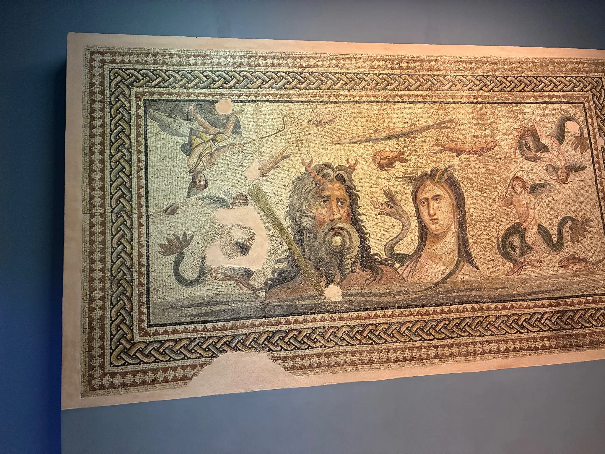 Zeugma Mozaik Müzesi fotoğrafı 2