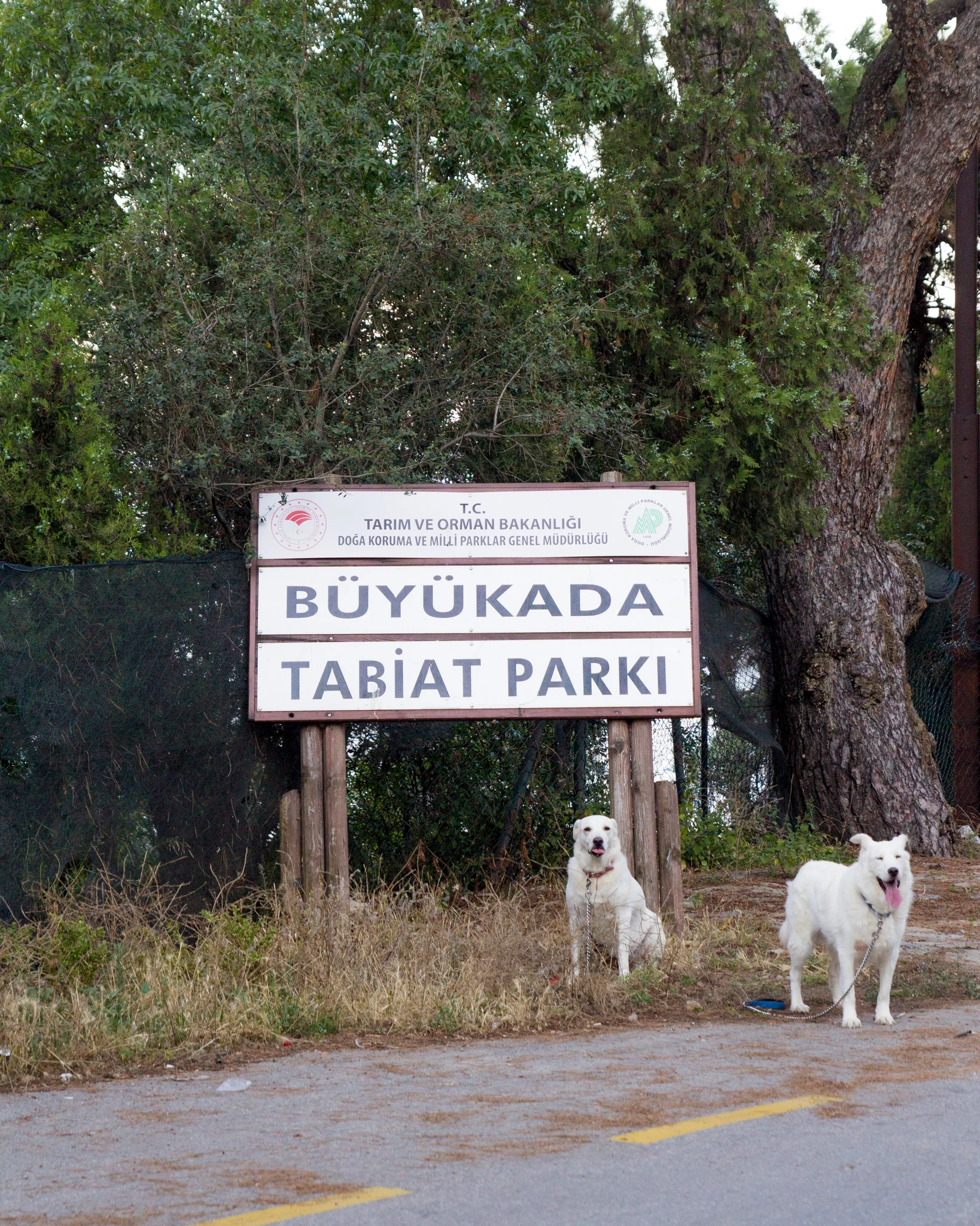 Büyükada Tabiat Parkı fotoğrafı