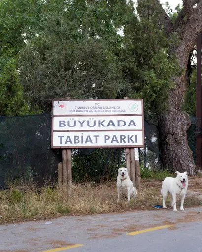 Büyükada Tabiat Parkı
