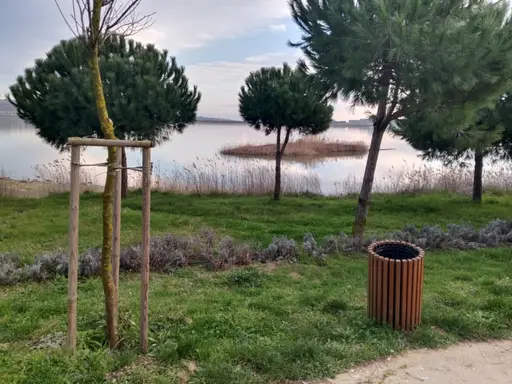Büyükçekmece Gölü Doğal Yaşam Parkı