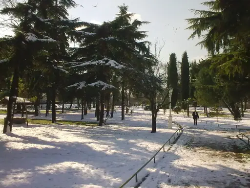 Fenerbahçe Parkı
