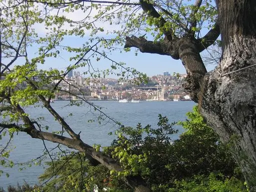 Fethi Paşa Korusu