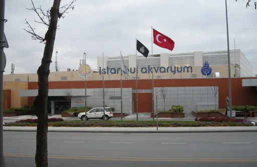 İstanbul Akvaryum