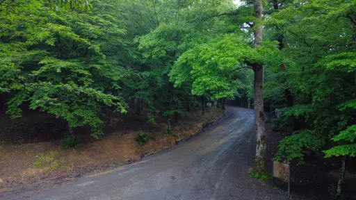 Kirazlıbent Tabiat Parkı