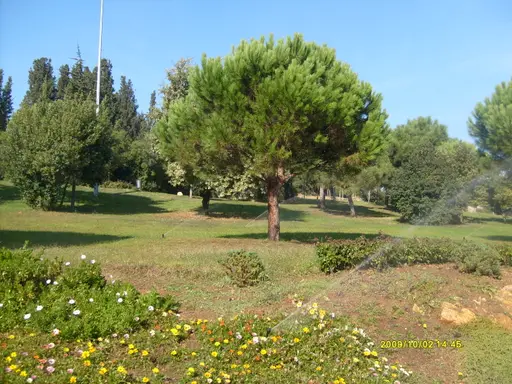 Küçük Çamlıca Korusu (Cihannüma Köşkü)
