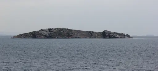 Tavşan Adası (Balıkçı Adası)
