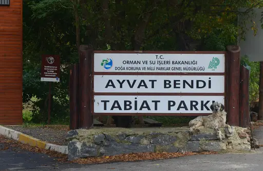 Ayvat Bendi Tabiat Parkı