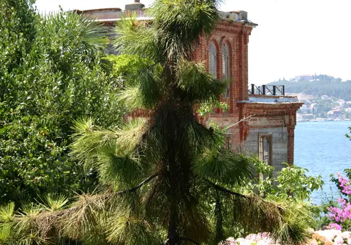 Trotsky House