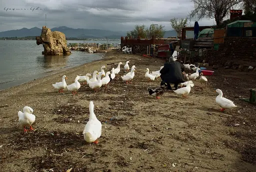 Urla Kum Denizi Plajı