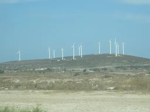 Alaçatı Azmağı Sulak Alan Gözlem Parkı