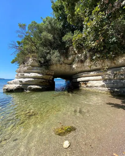 Delikli koy