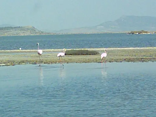 İzmir Kuş Cenneti