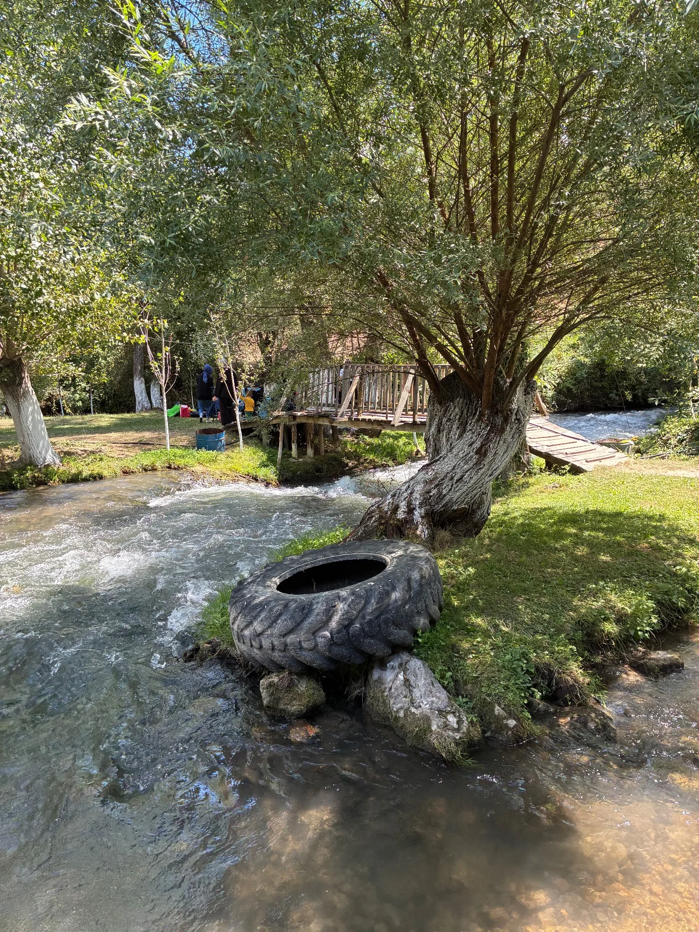 Domaniç Ada fotoğrafı