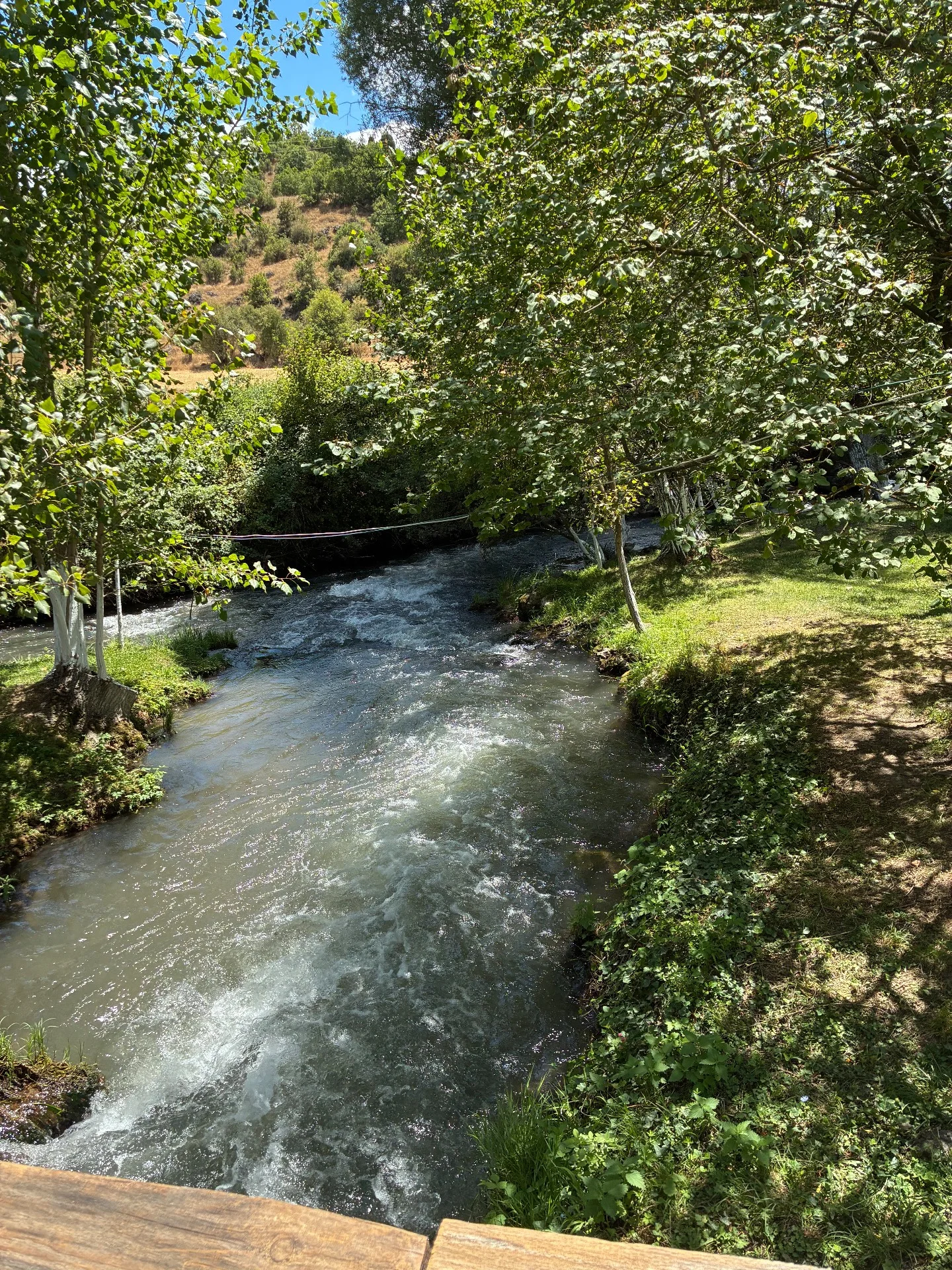 Domaniç Ada fotoğrafı 3