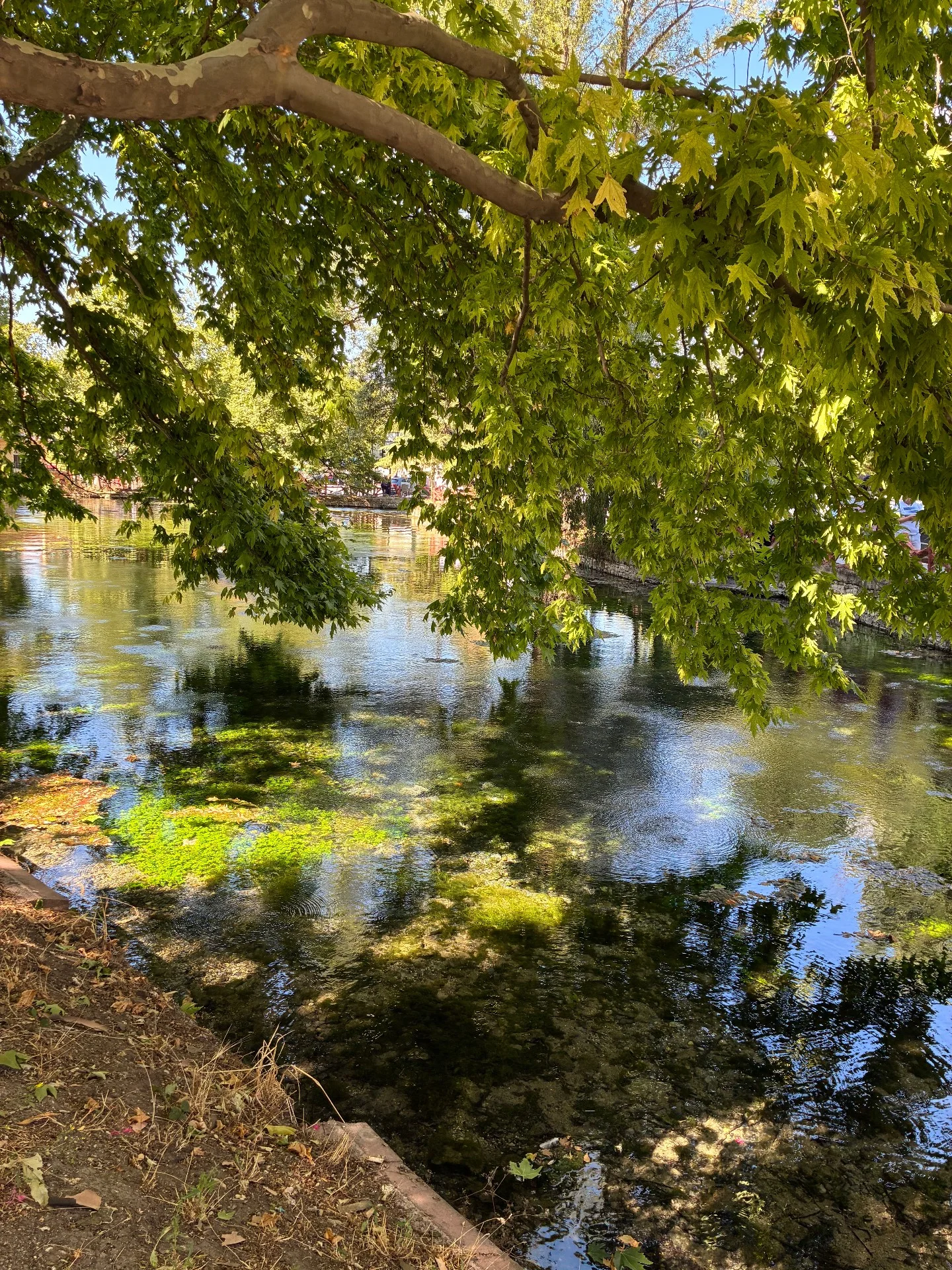Ilıcaksu Sarıkız Mesire Yeri fotoğrafı 3
