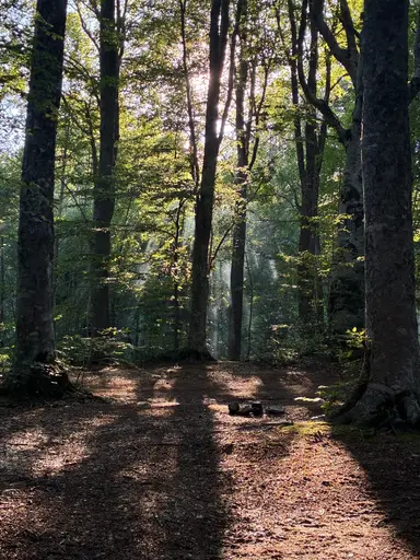 Topuk Yaylası Tabiat Parkı