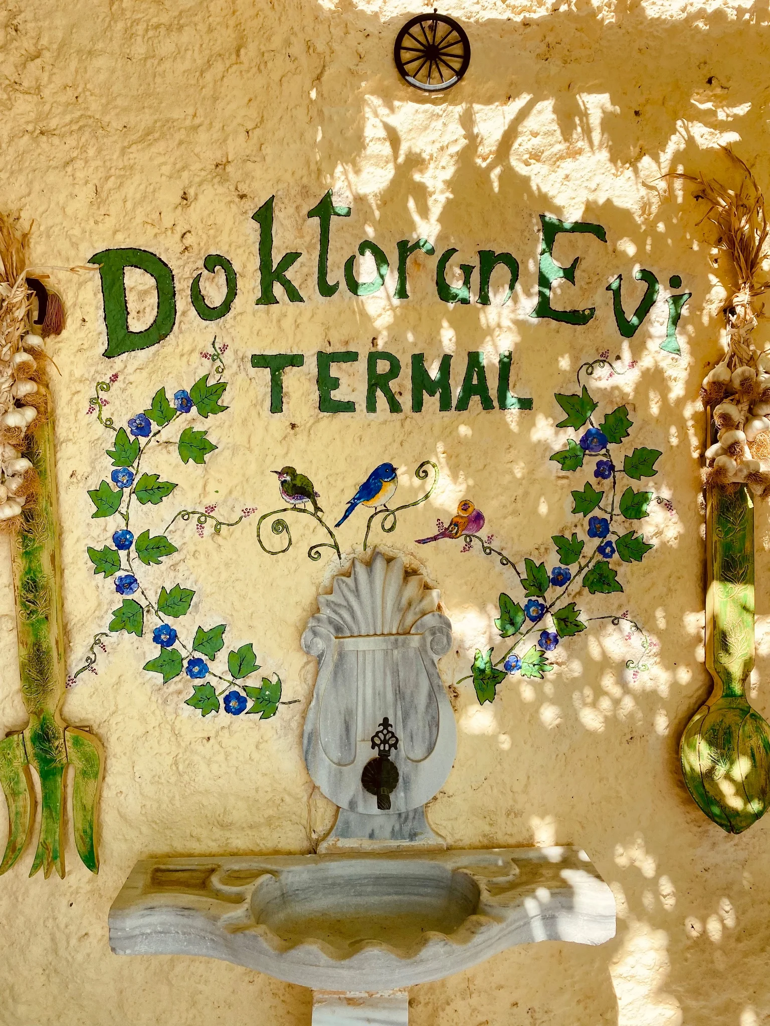 Doktorun Evi fotoğrafı 2